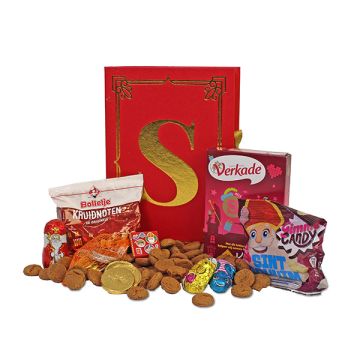 Het grote Sinterklaasboek