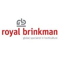 Royal Brinkman